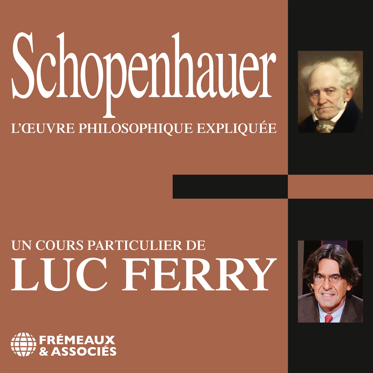 Schopenhauer. L'oeuvre philosophique expliquée