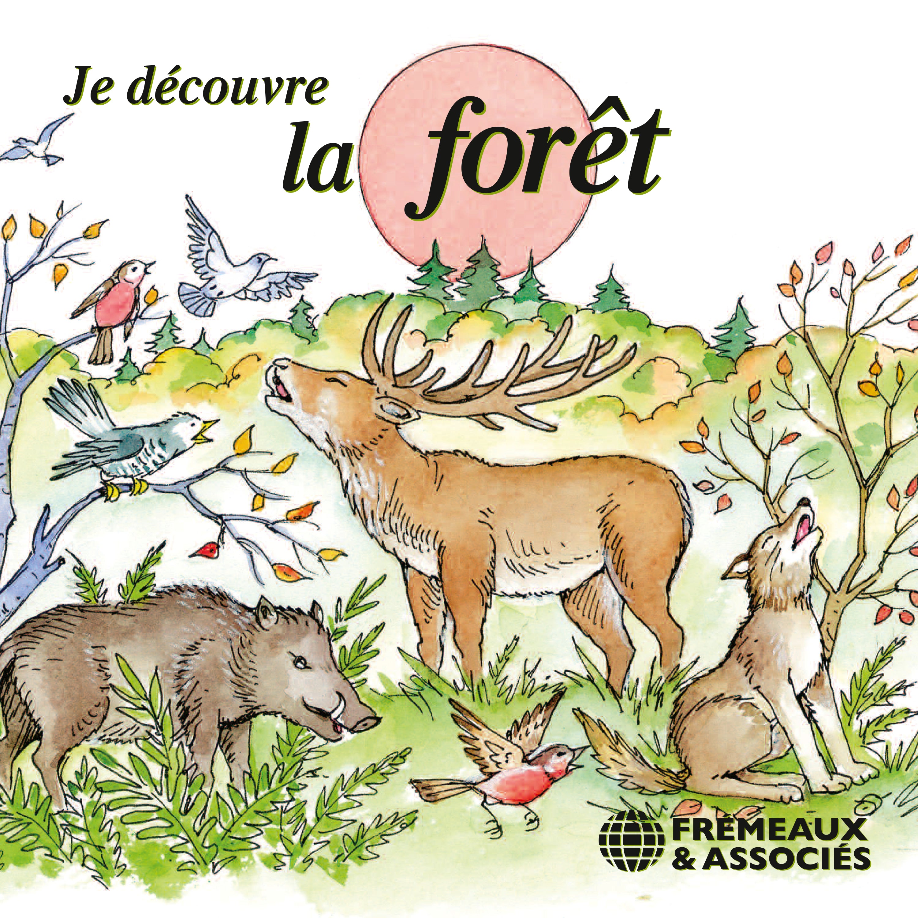 Je découvre la forêt