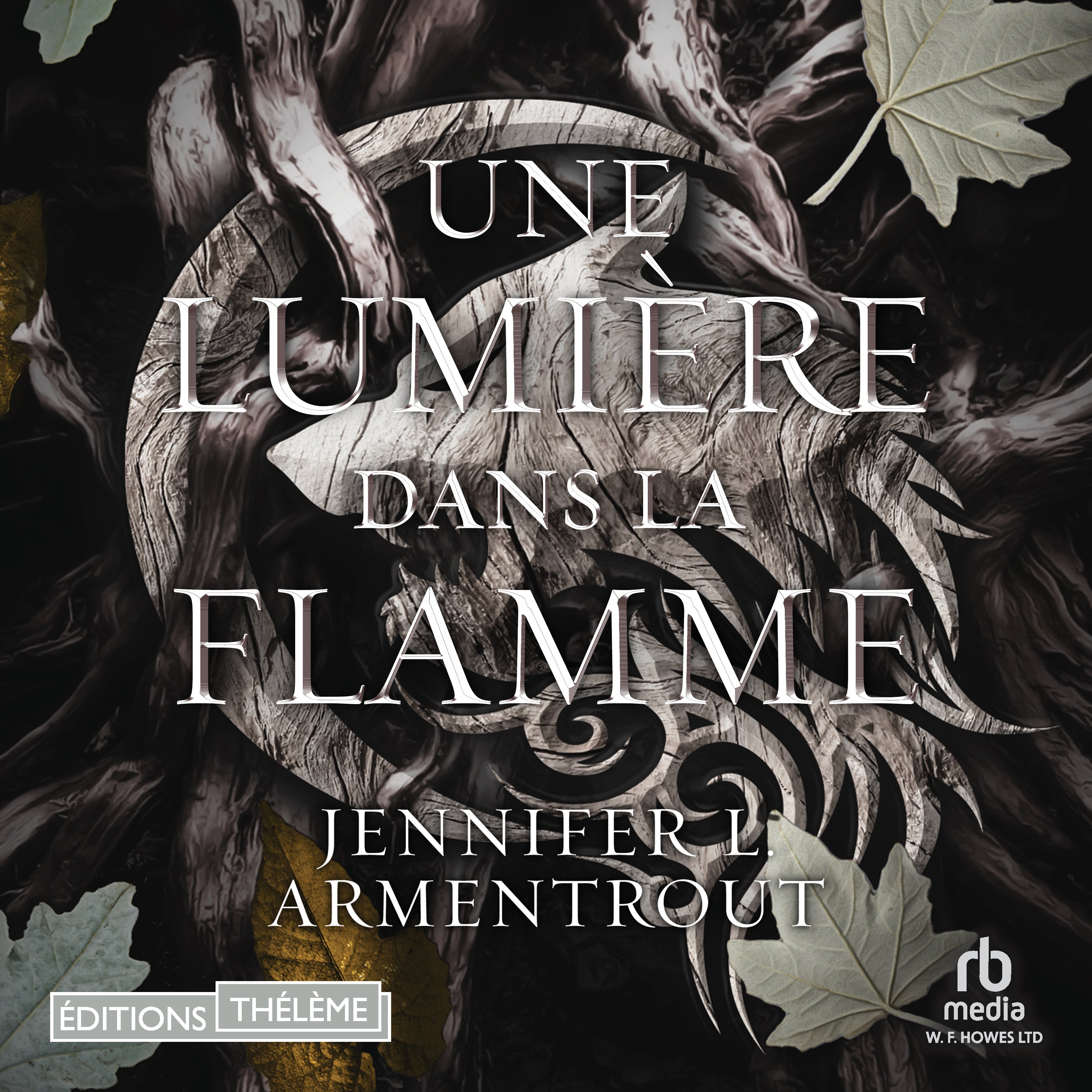 Une lumière dans la flamme