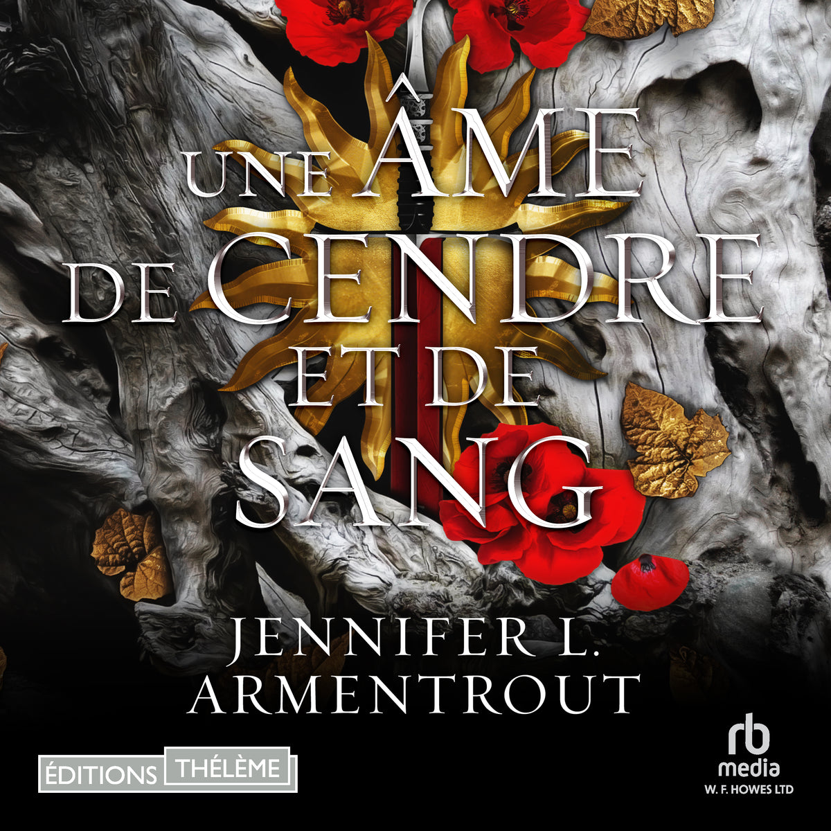 Une âme de cendre et de sang