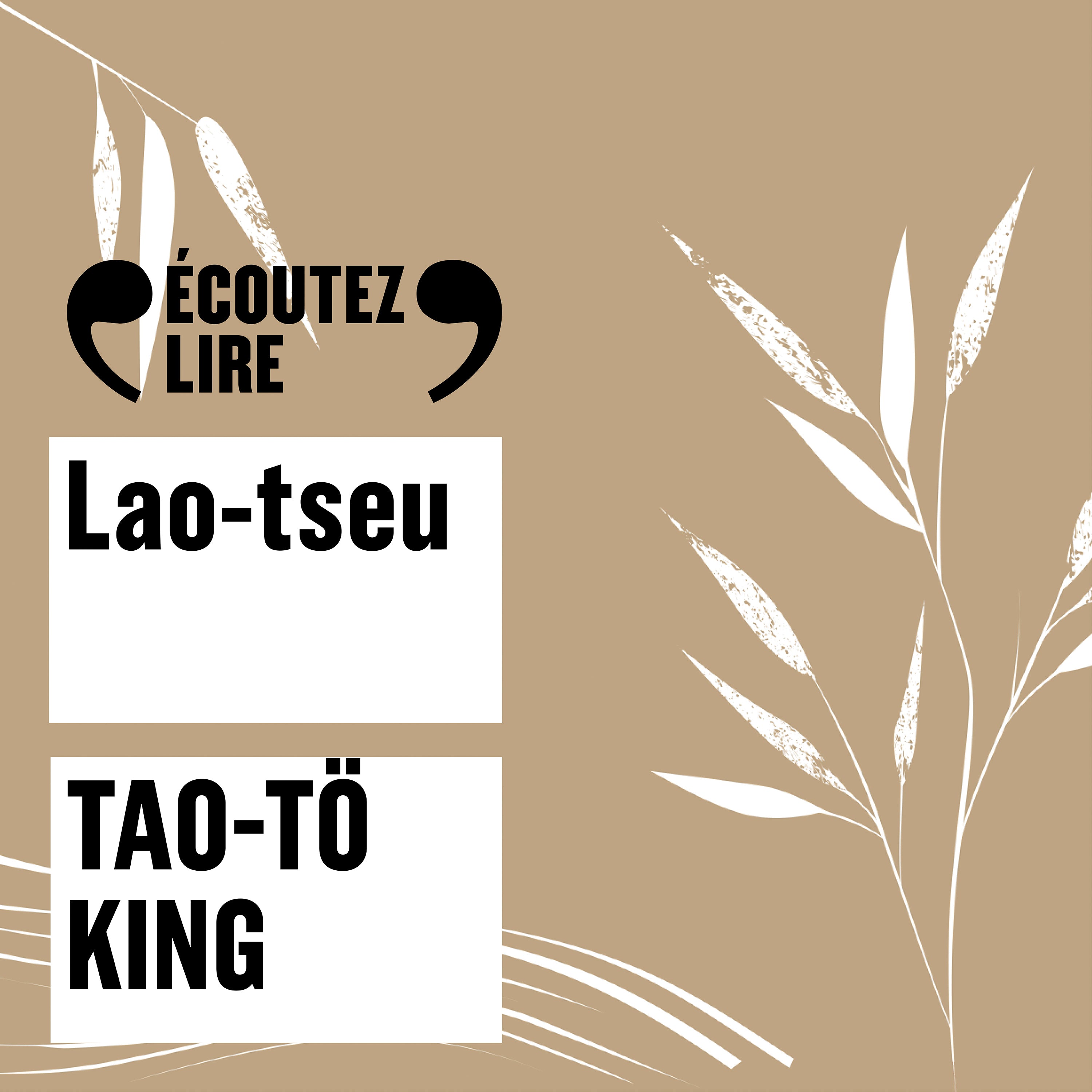 Tao-tö king