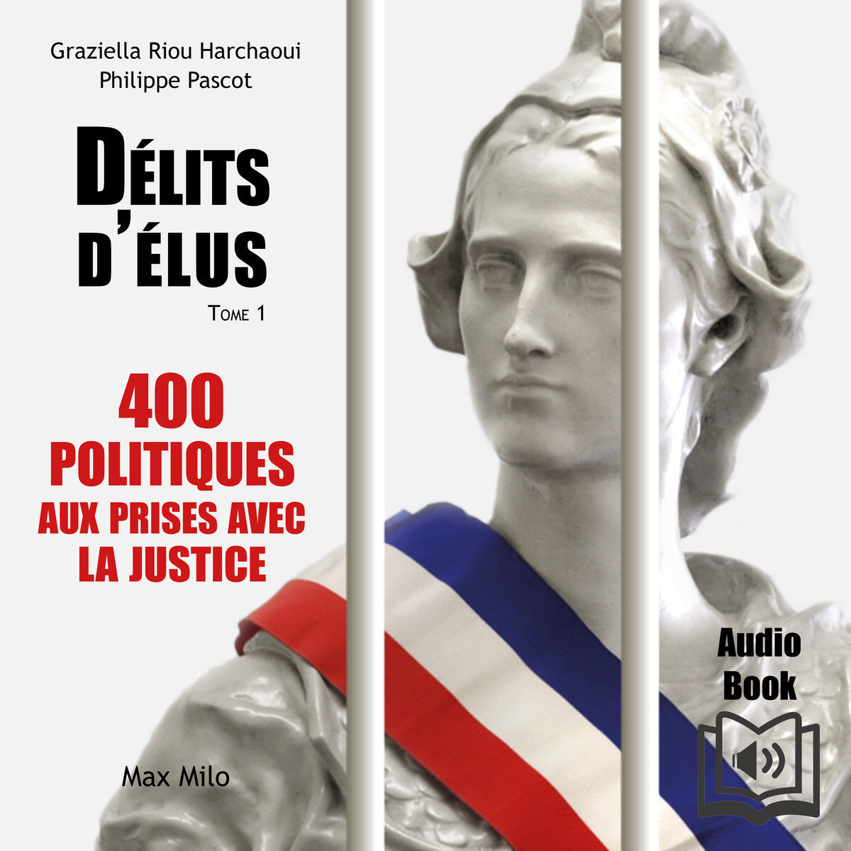 Délits d’élus