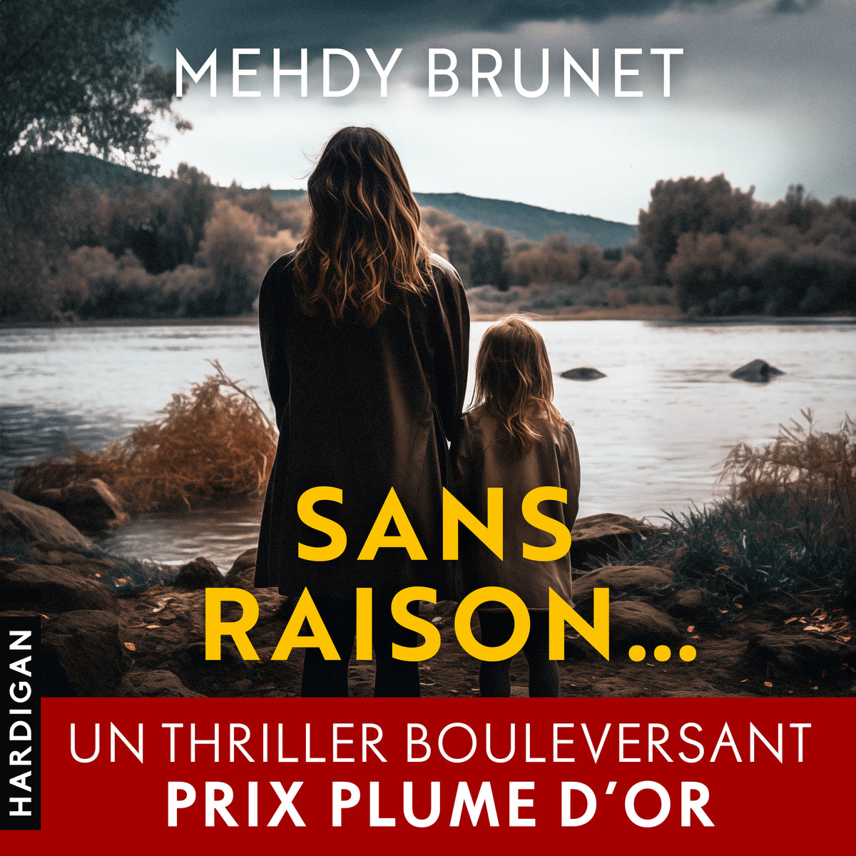 Sans raison