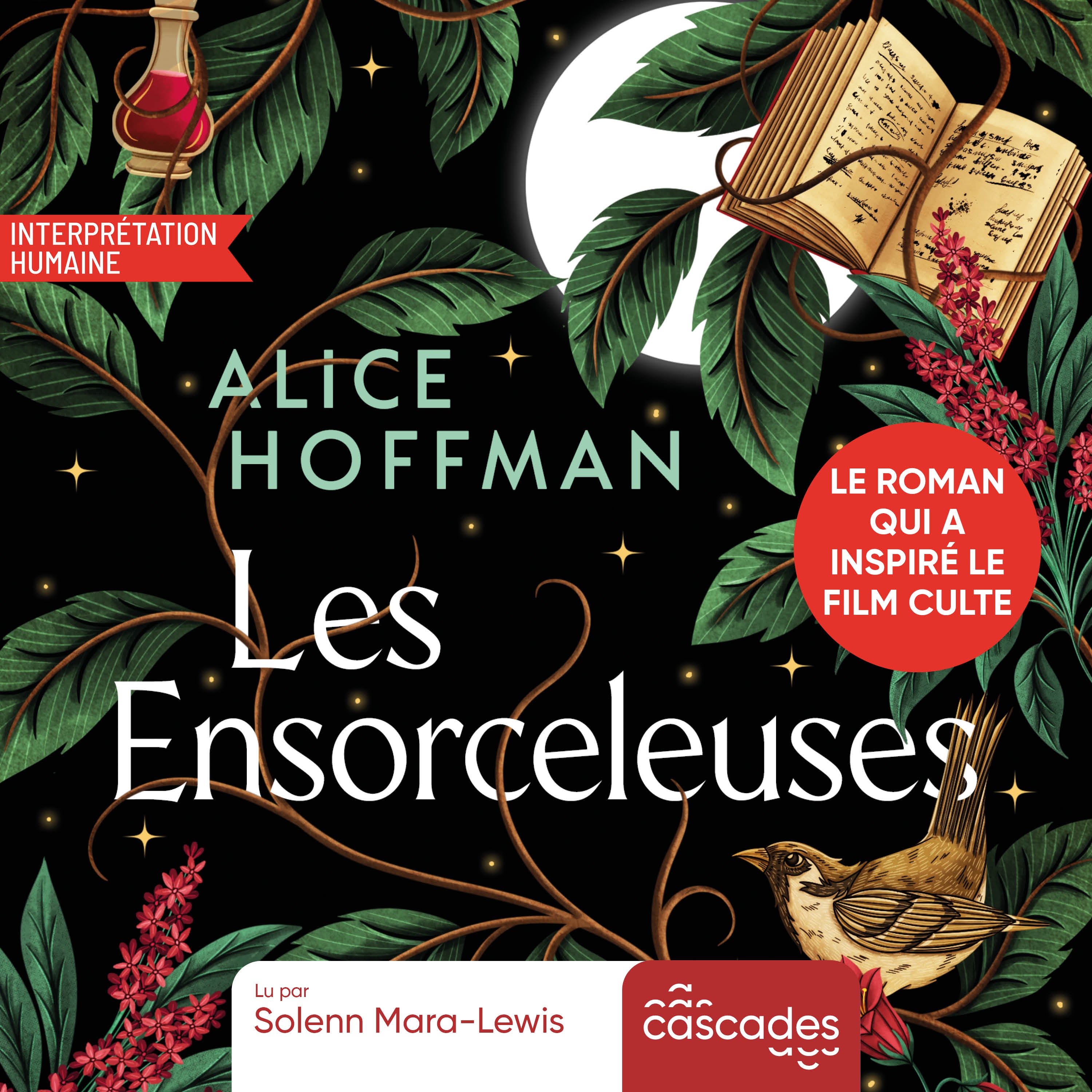 Practical Magic - Les Ensorceleuses
