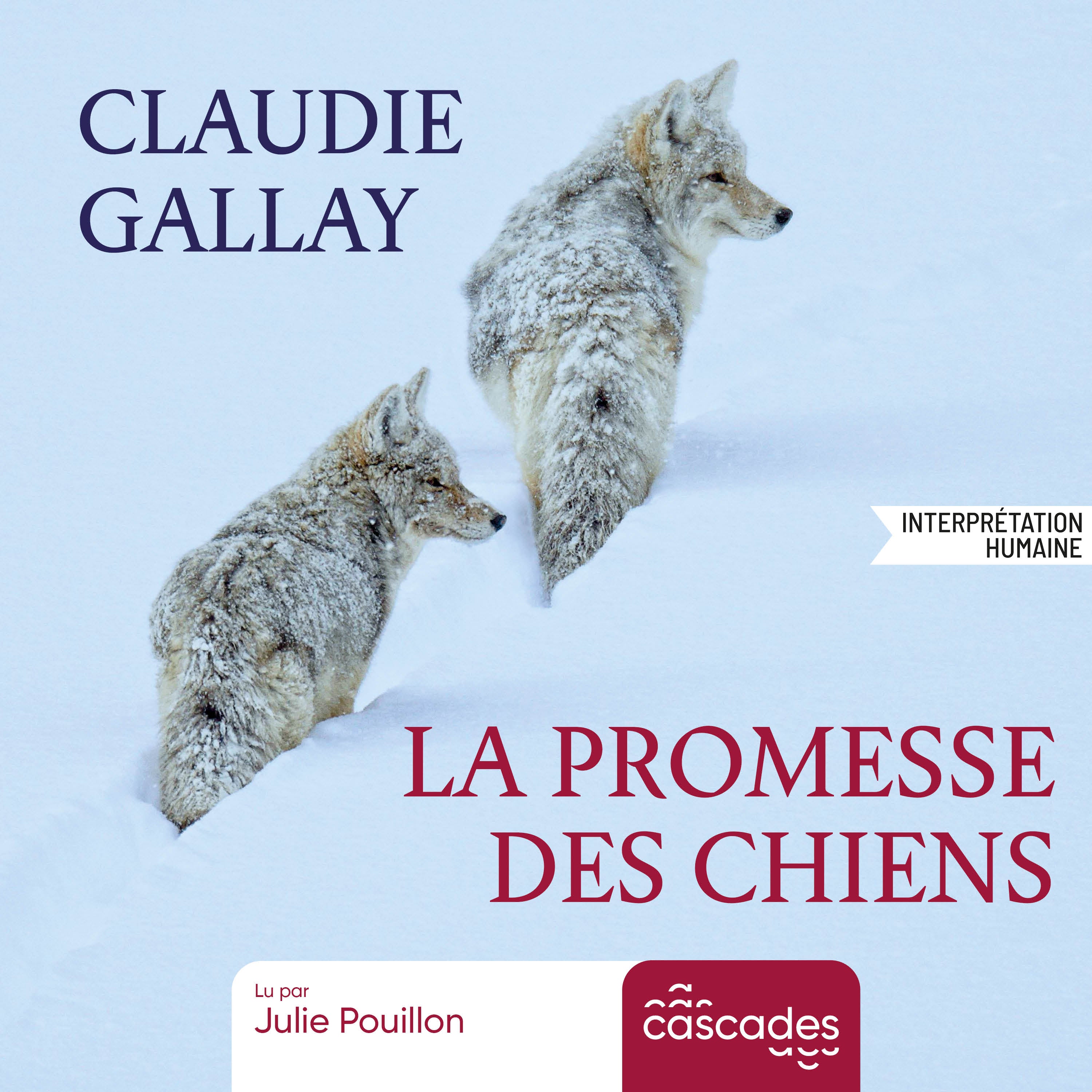 La promesse des chiens