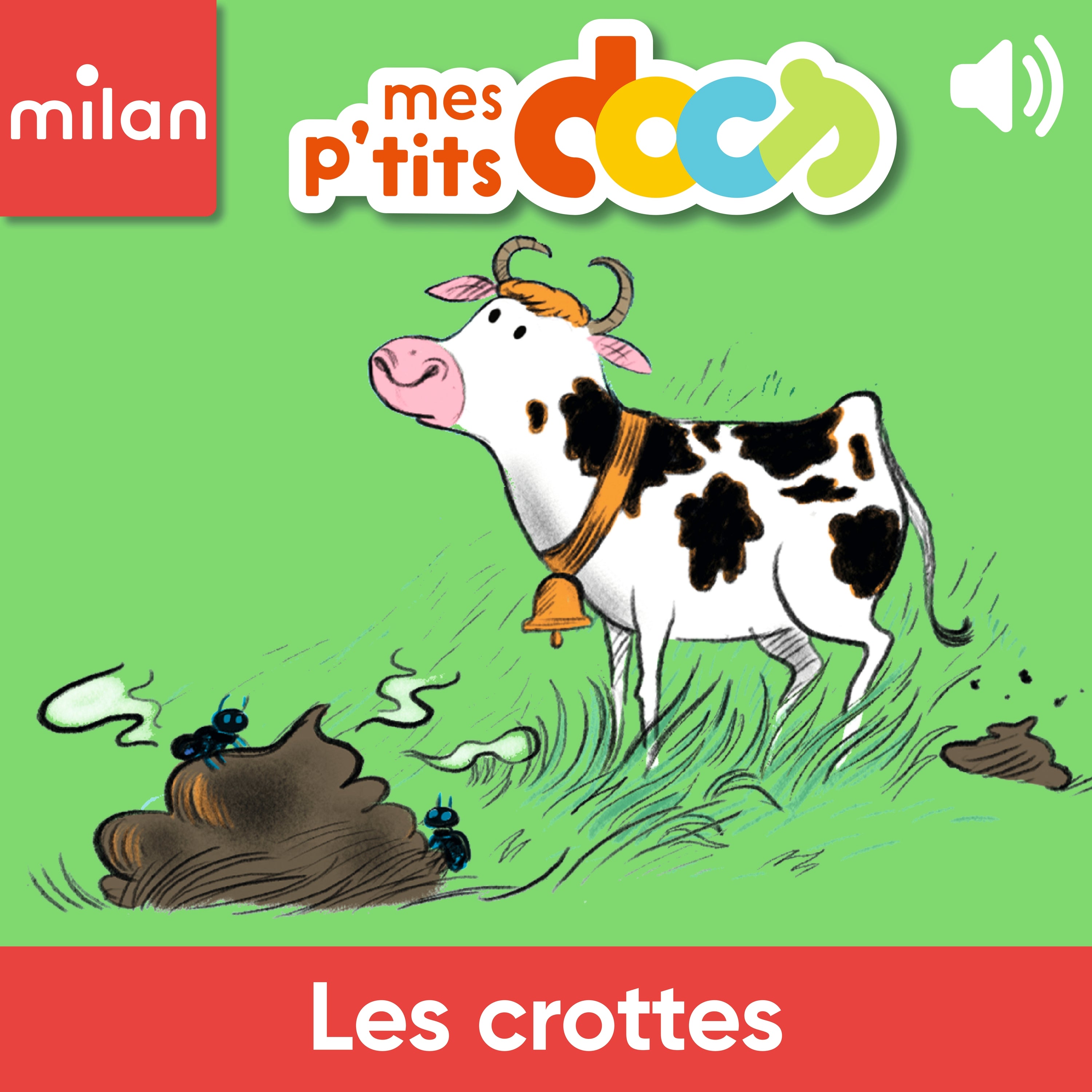 Les crottes