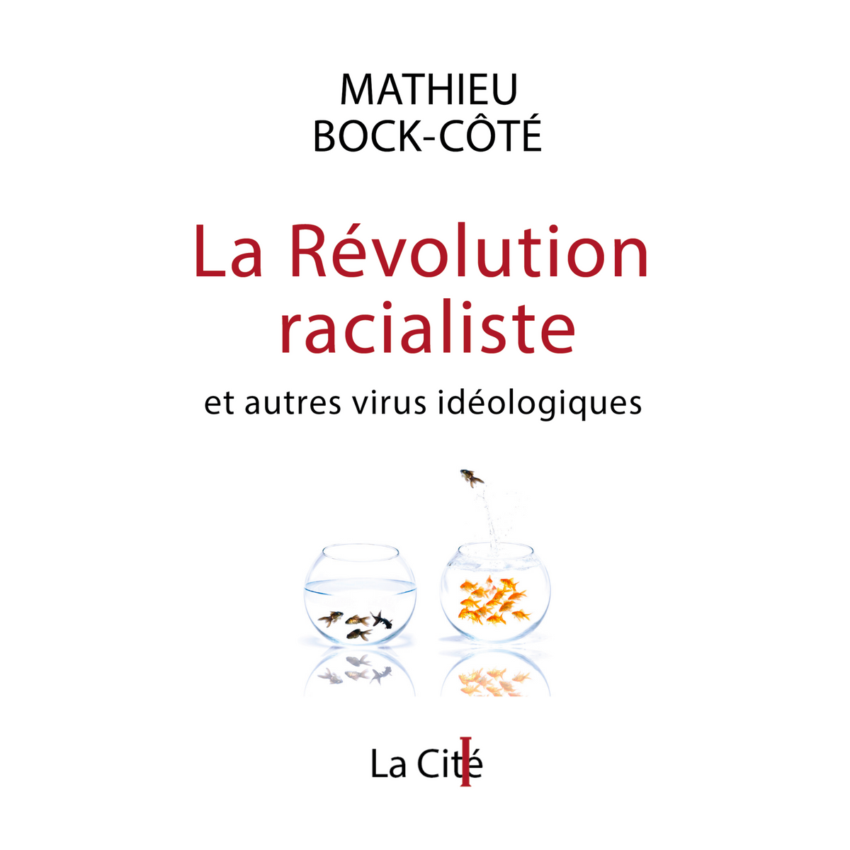 La Révolution racialiste, et autres virus idéologiques