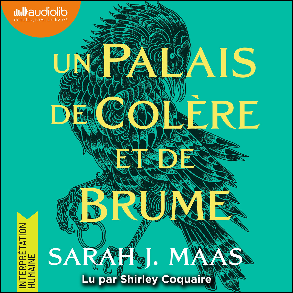 Un palais de colère et de brume