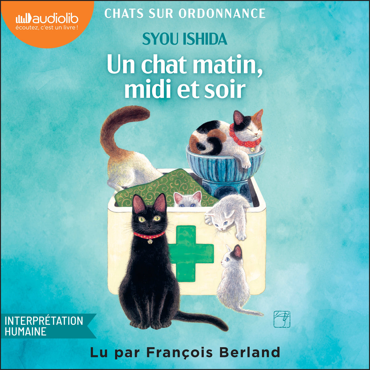 Un chat matin, midi et soir