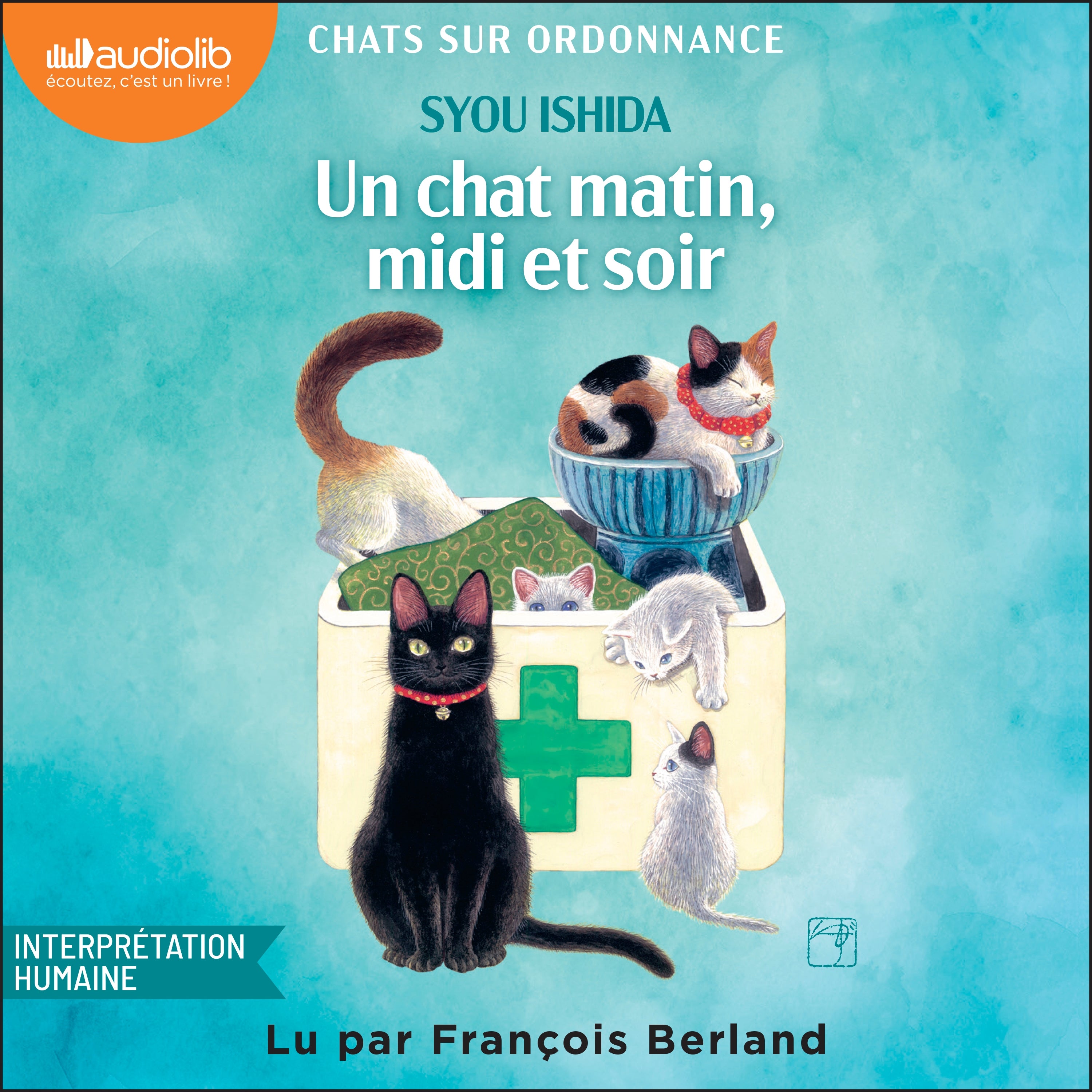 Un chat matin, midi et soir