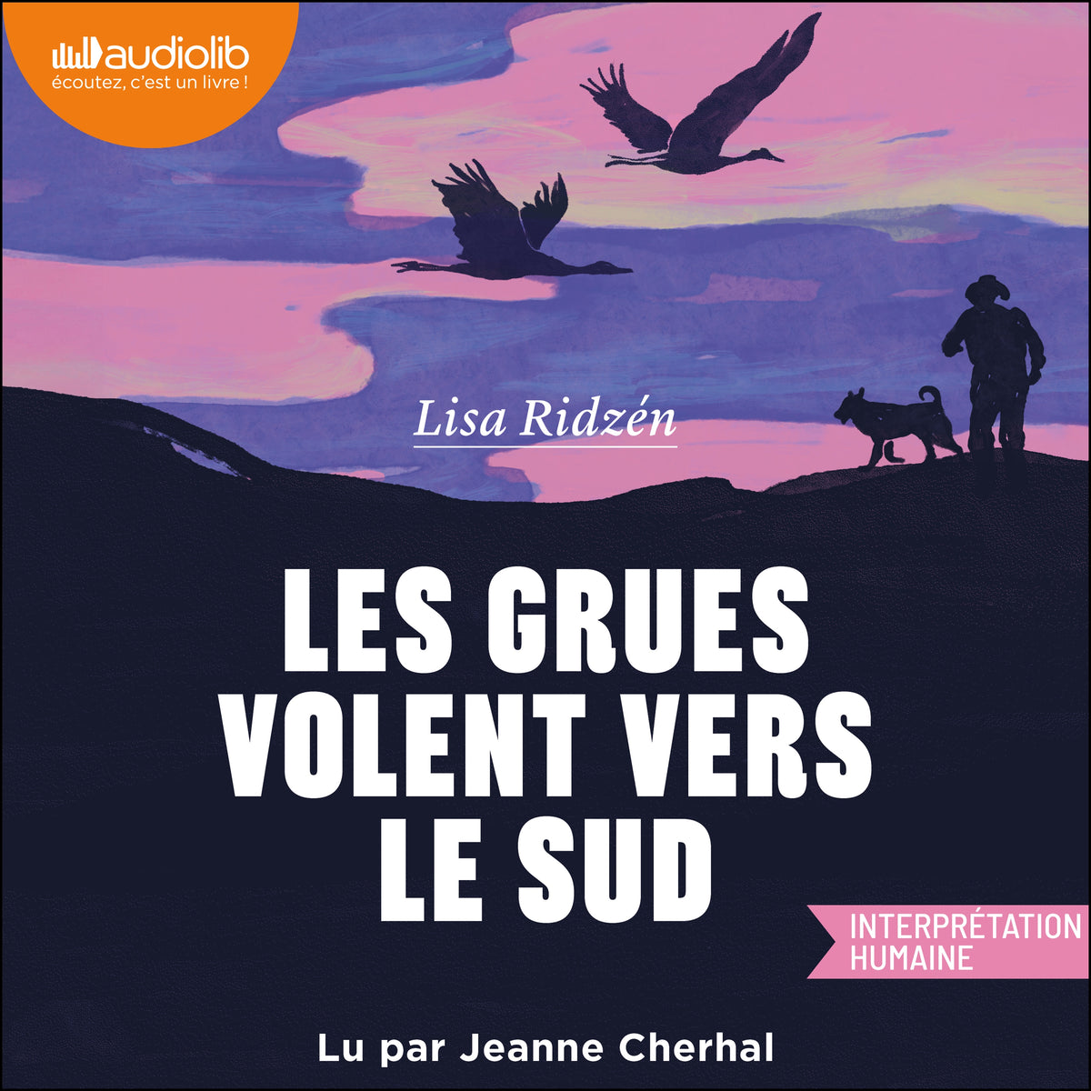 Les grues volent vers le sud