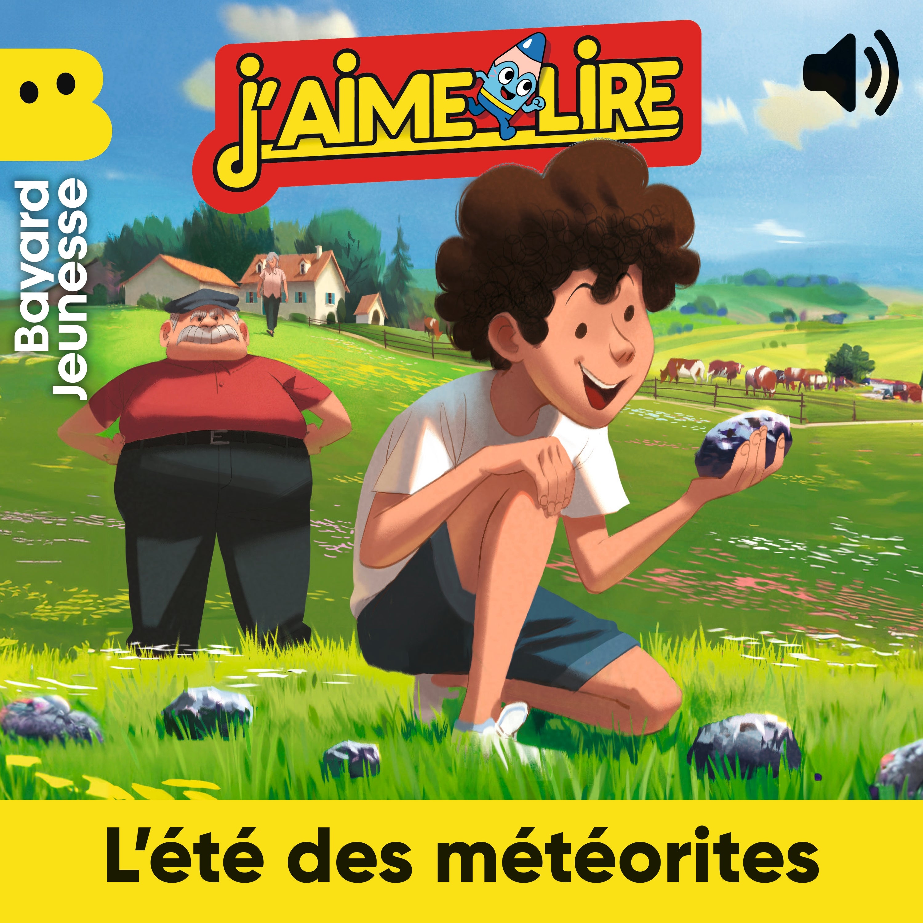 L'été des météorites