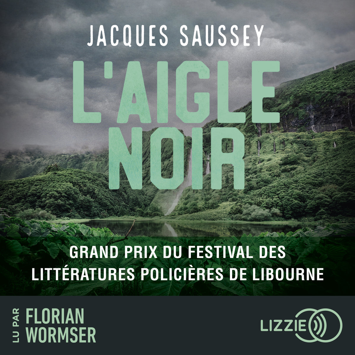 L'Aigle noir