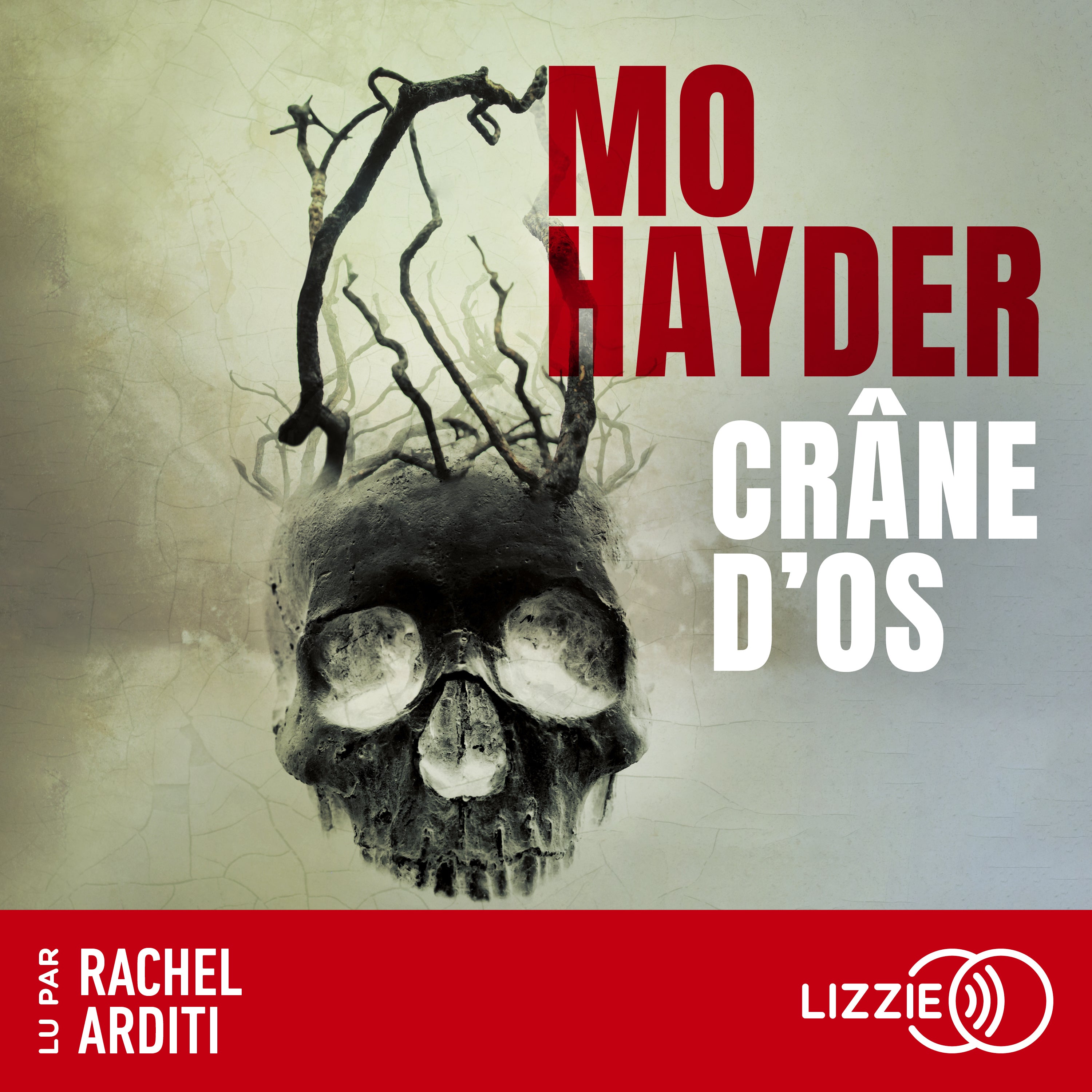 Crâne d'os