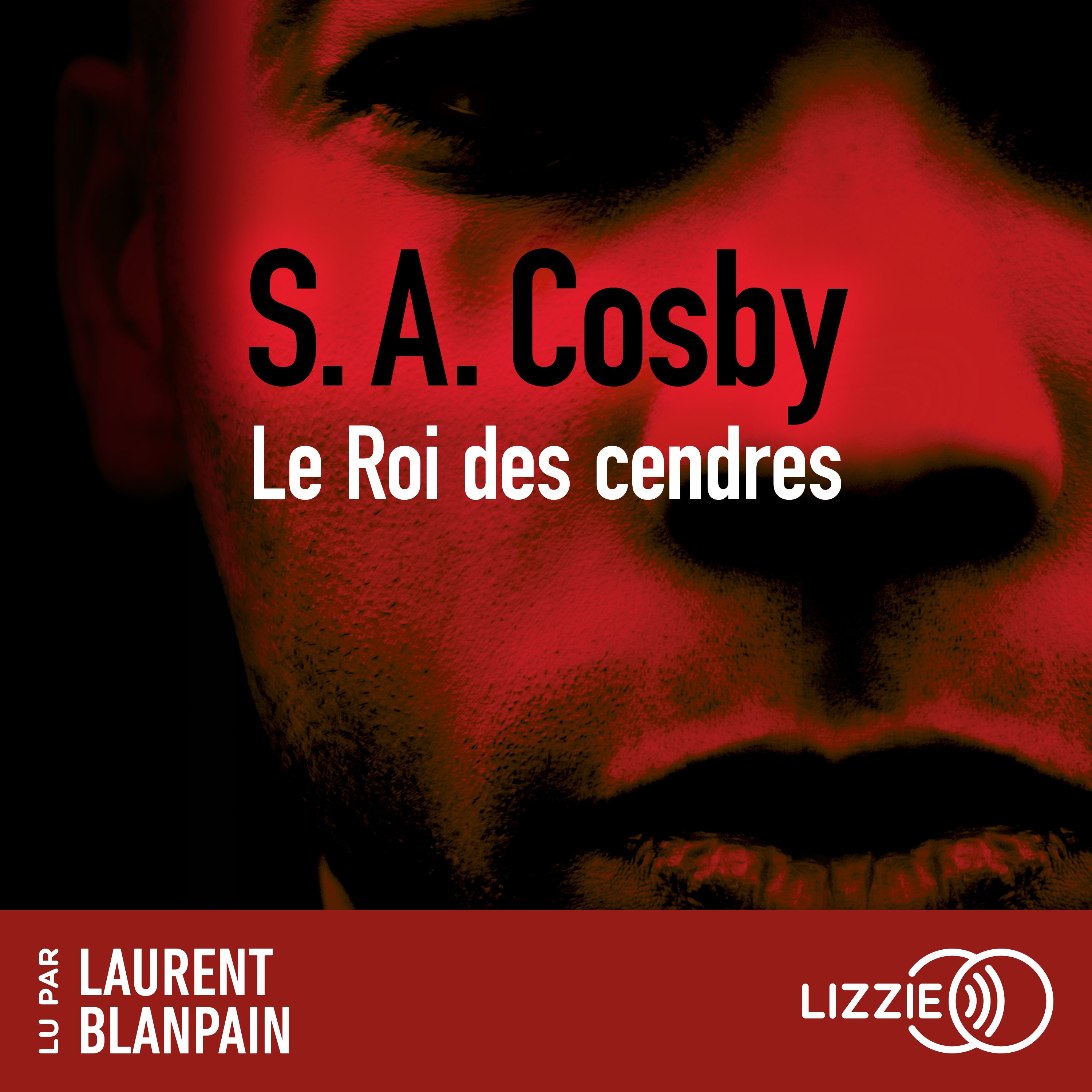 Le Roi des cendres