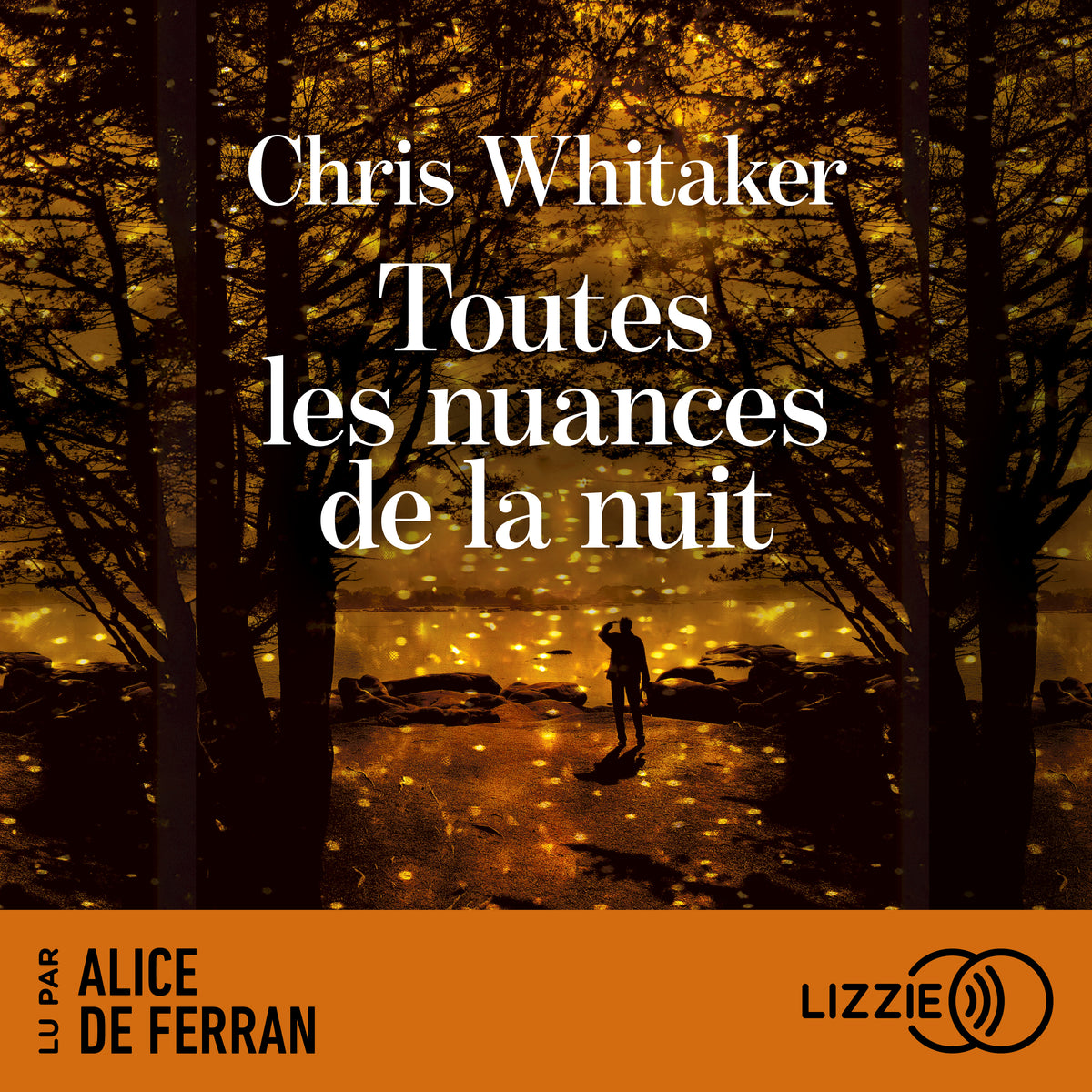 Toutes les nuances de la nuit