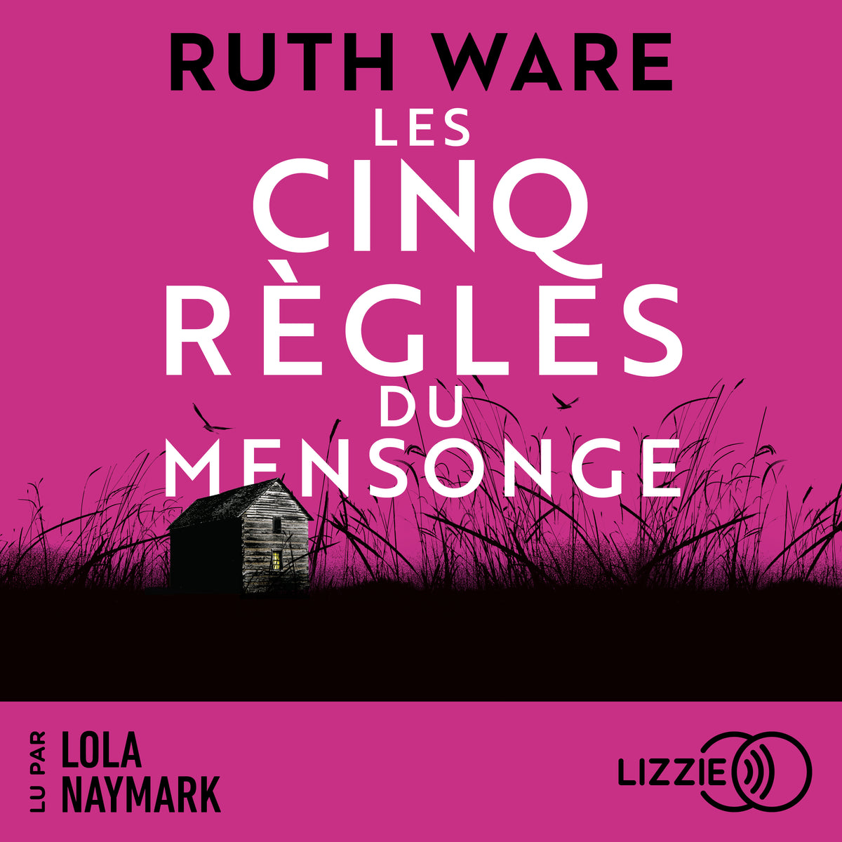 Les cinq règles du mensonge