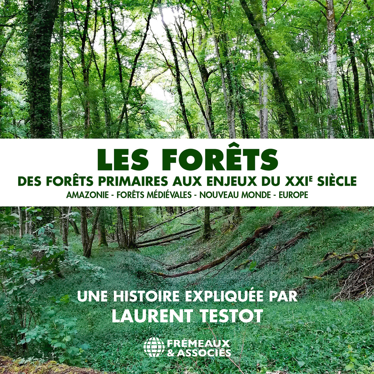 Les forêts - Des forêts primaires aux enjeux du XXIe siècle