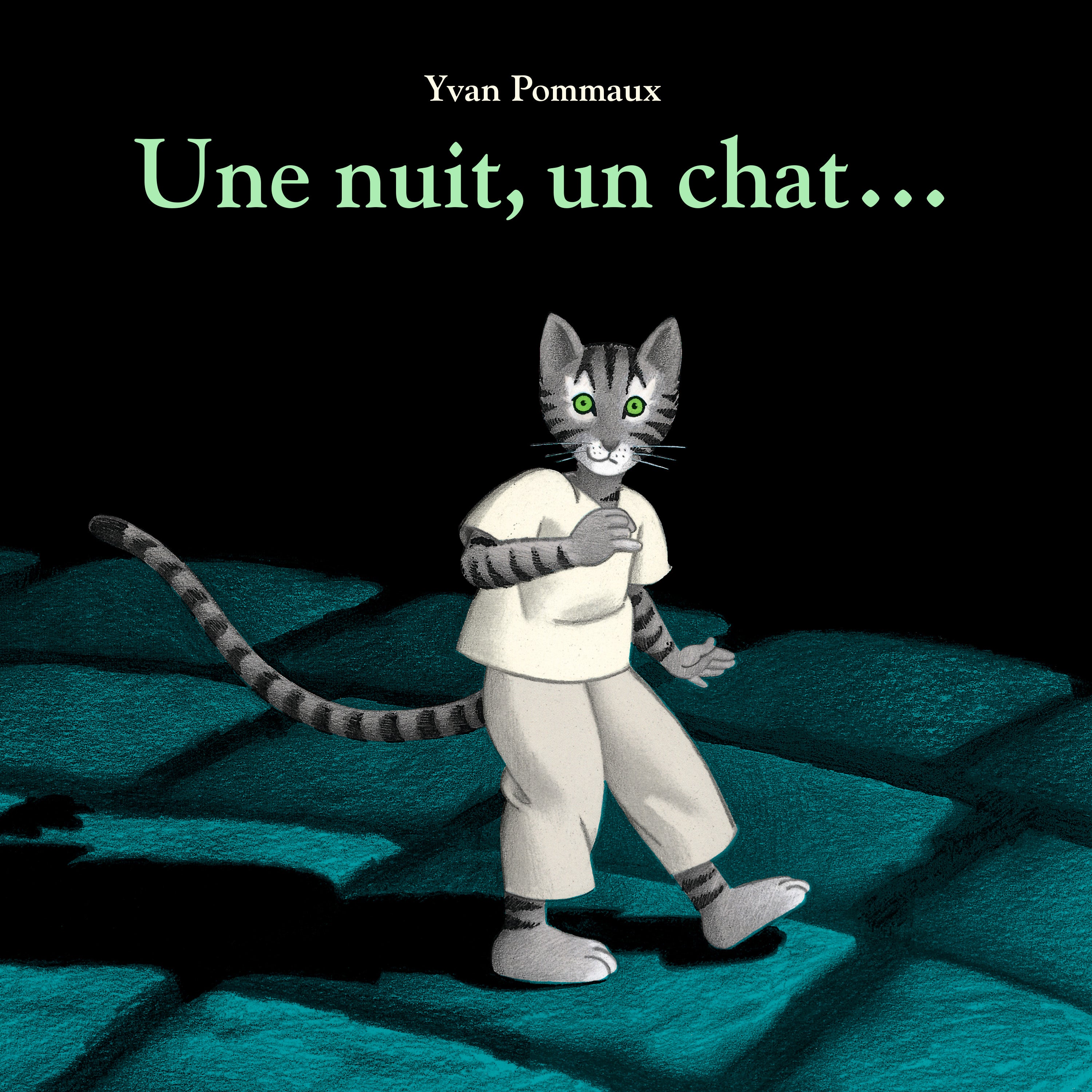 Une nuit, un chat…