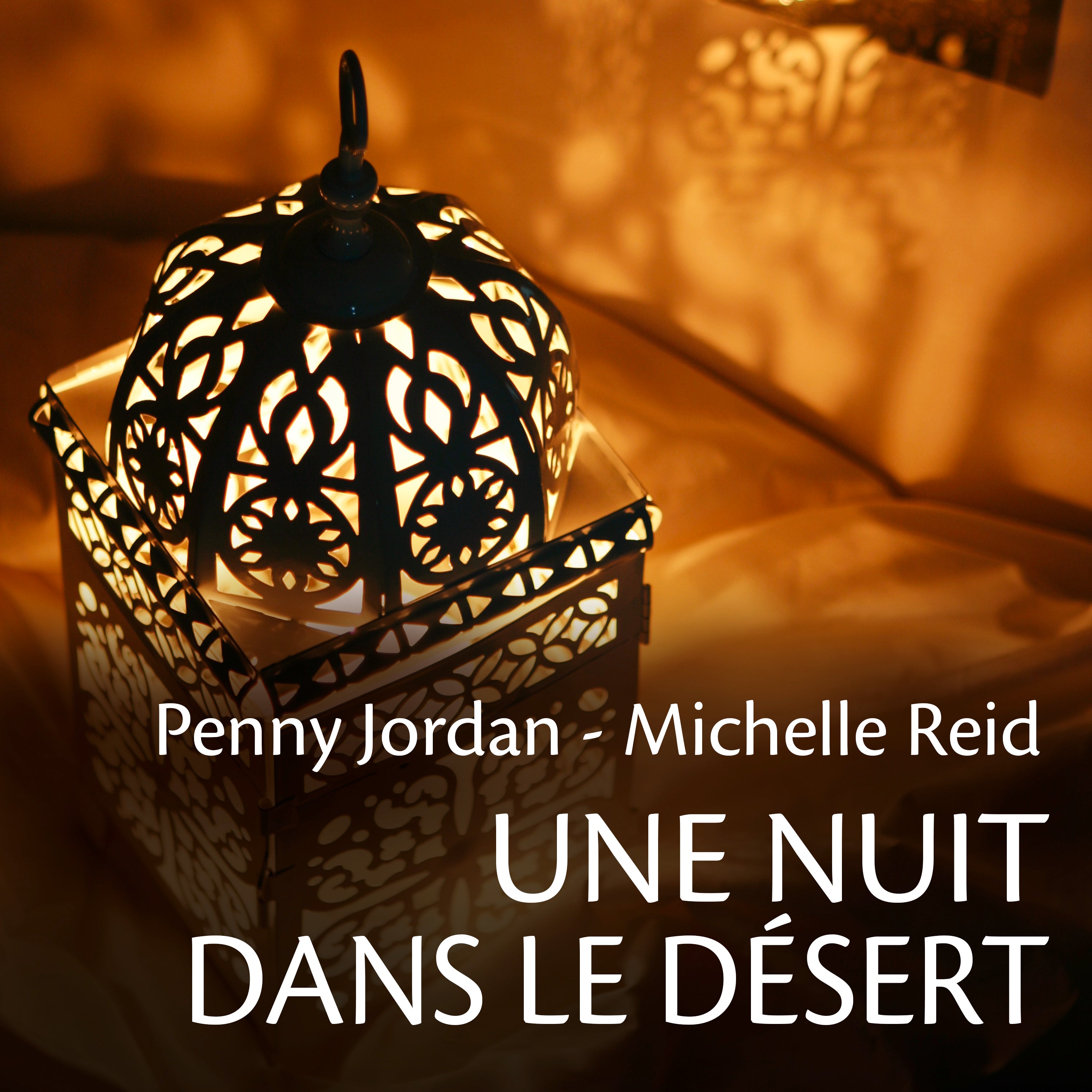 Une nuit dans le désert