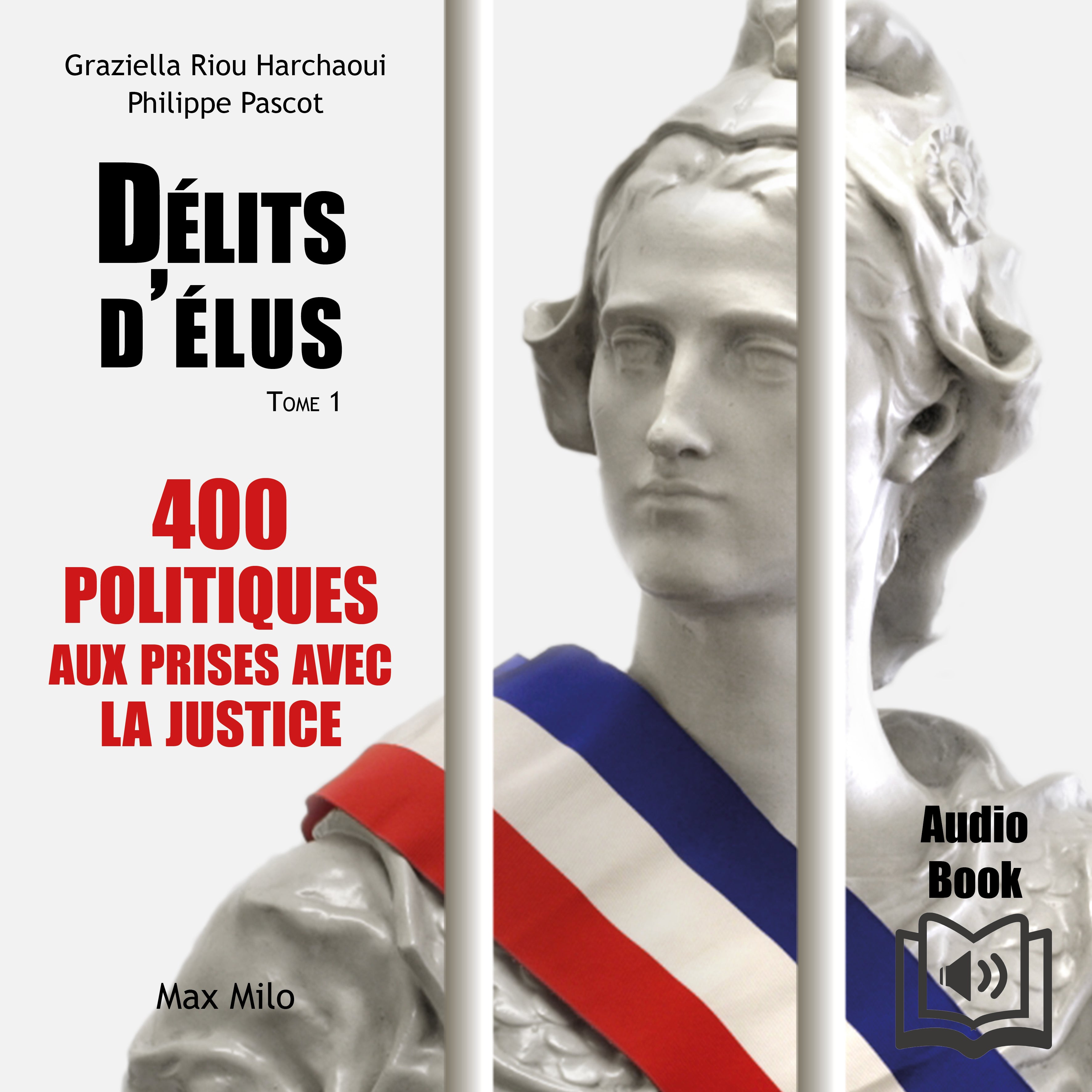 Délits d’élus