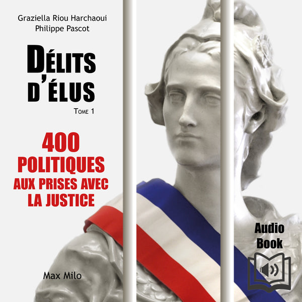 Délits d’élus
