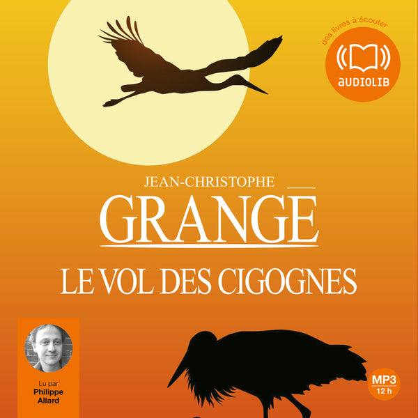 Le vol des cigognes