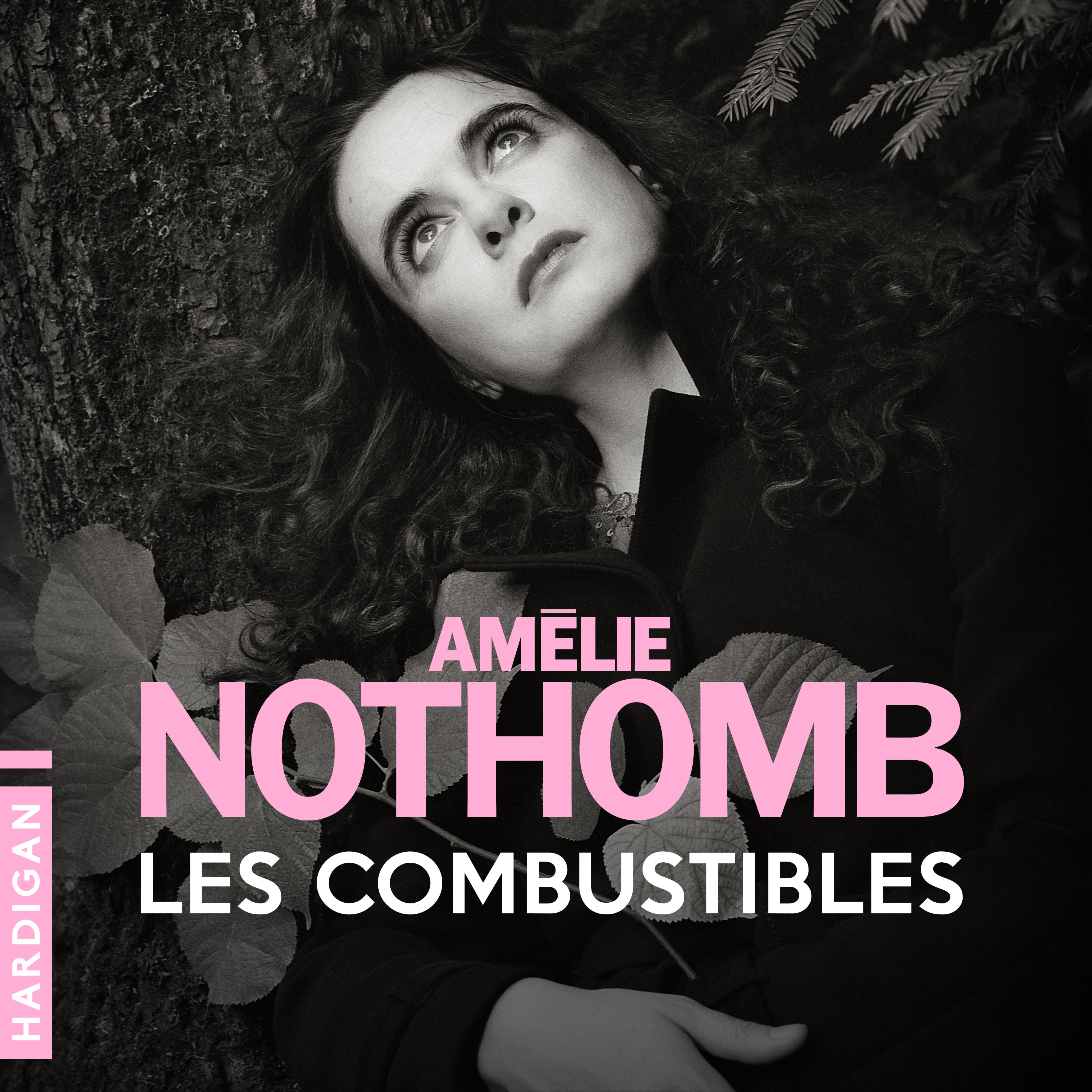 Les Combustibles