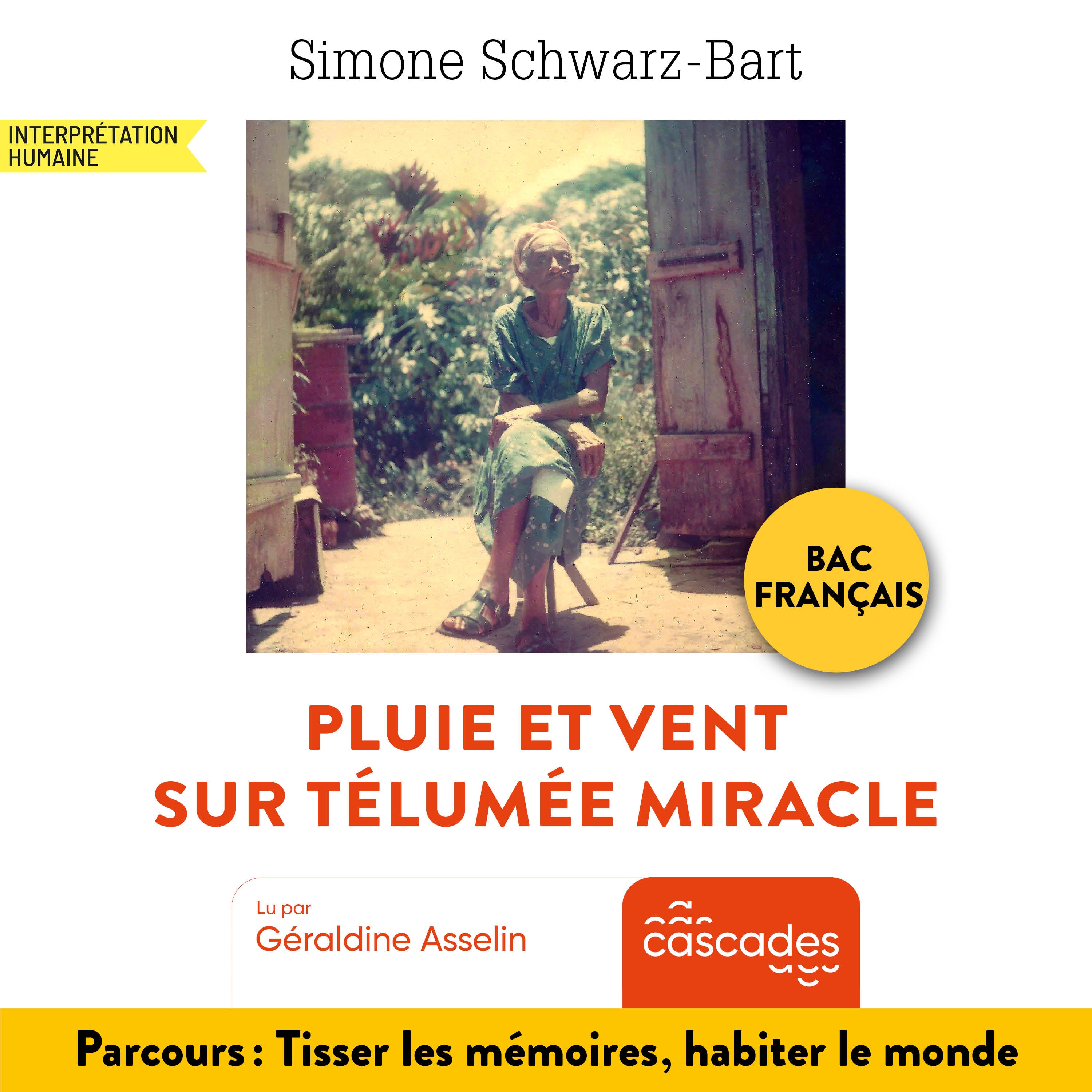 Pluie et Vent sur Télumée Miracle