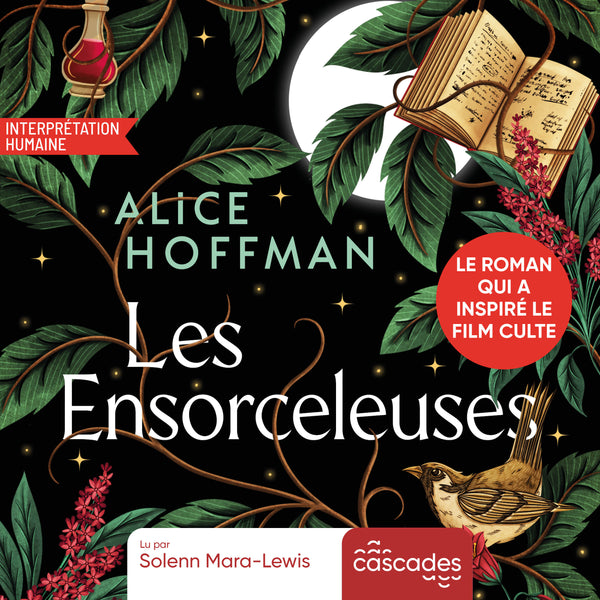 Practical Magic - Les Ensorceleuses