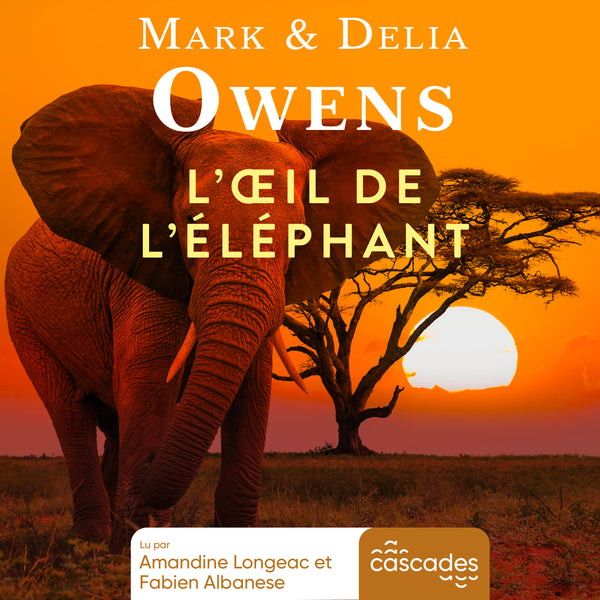 L'œil de l'éléphant
