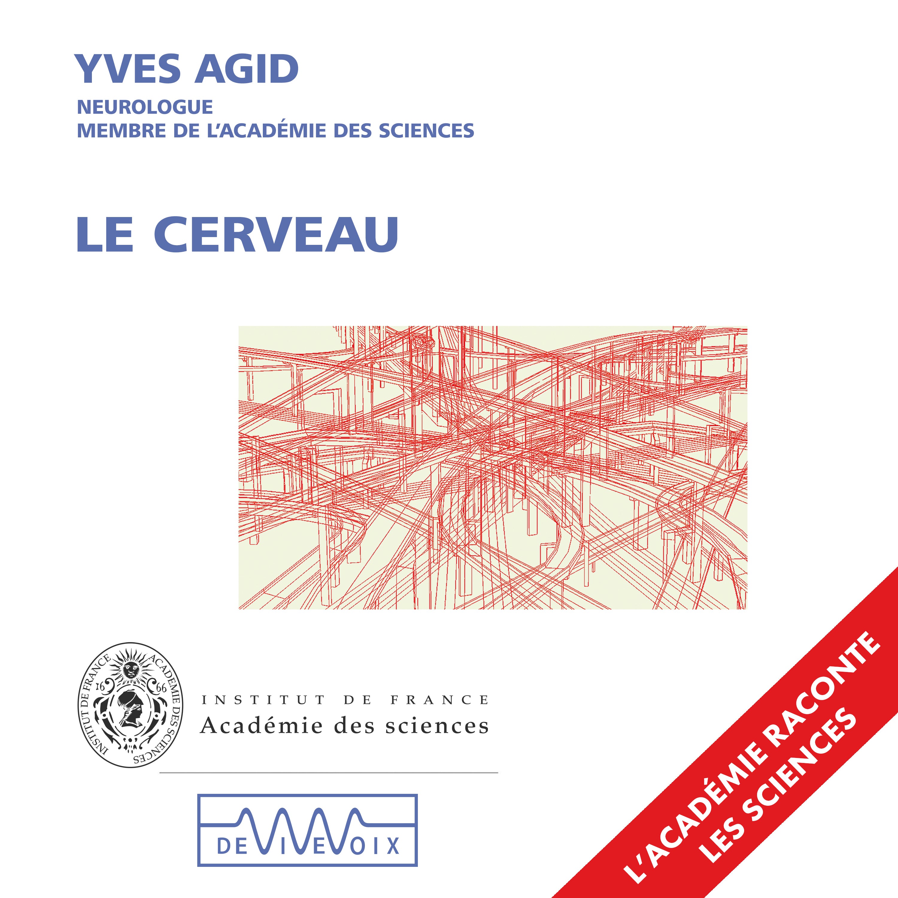 Le cerveau