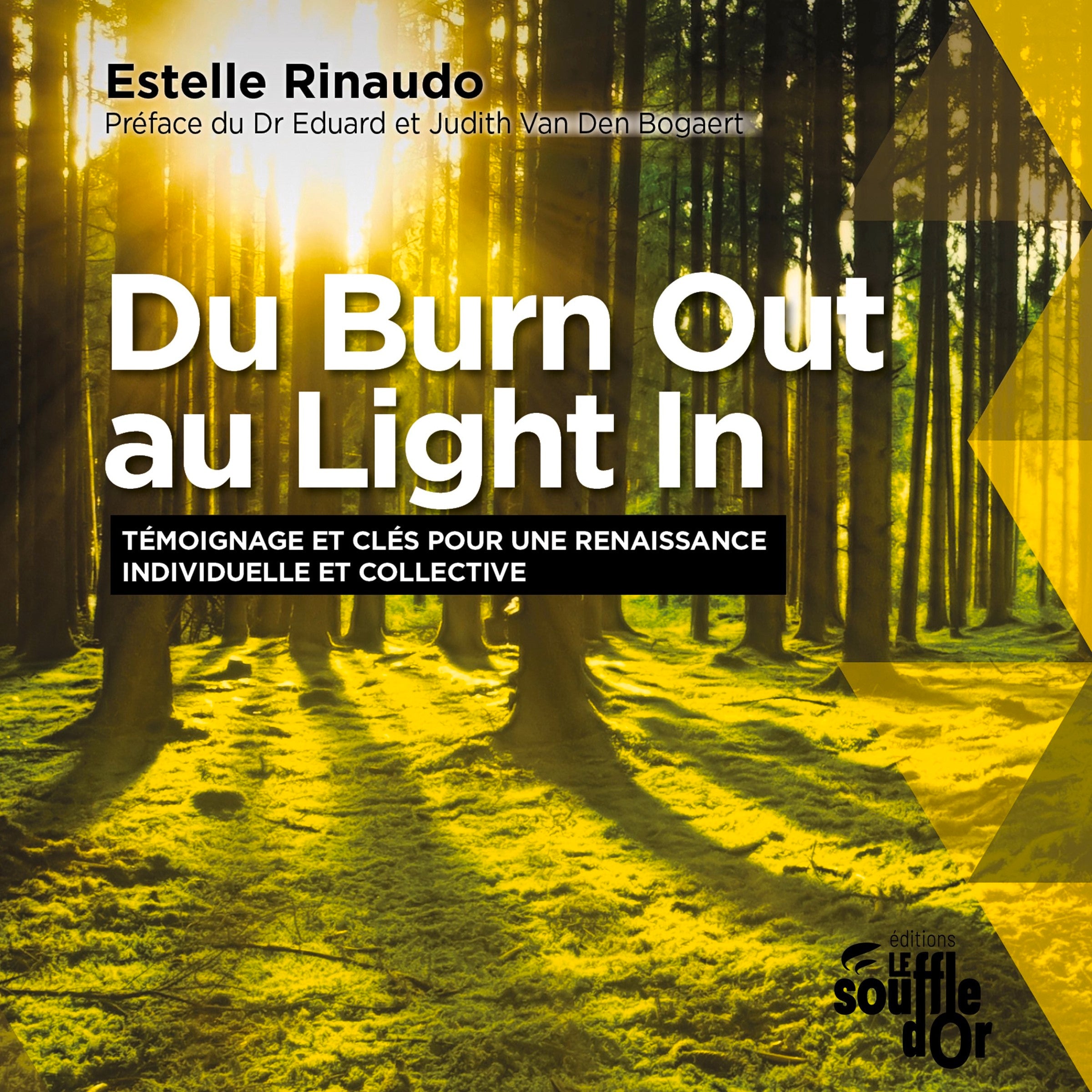 Du Burn Out au Light In. Témoignage et clés pour une renaissance individuelle et collective