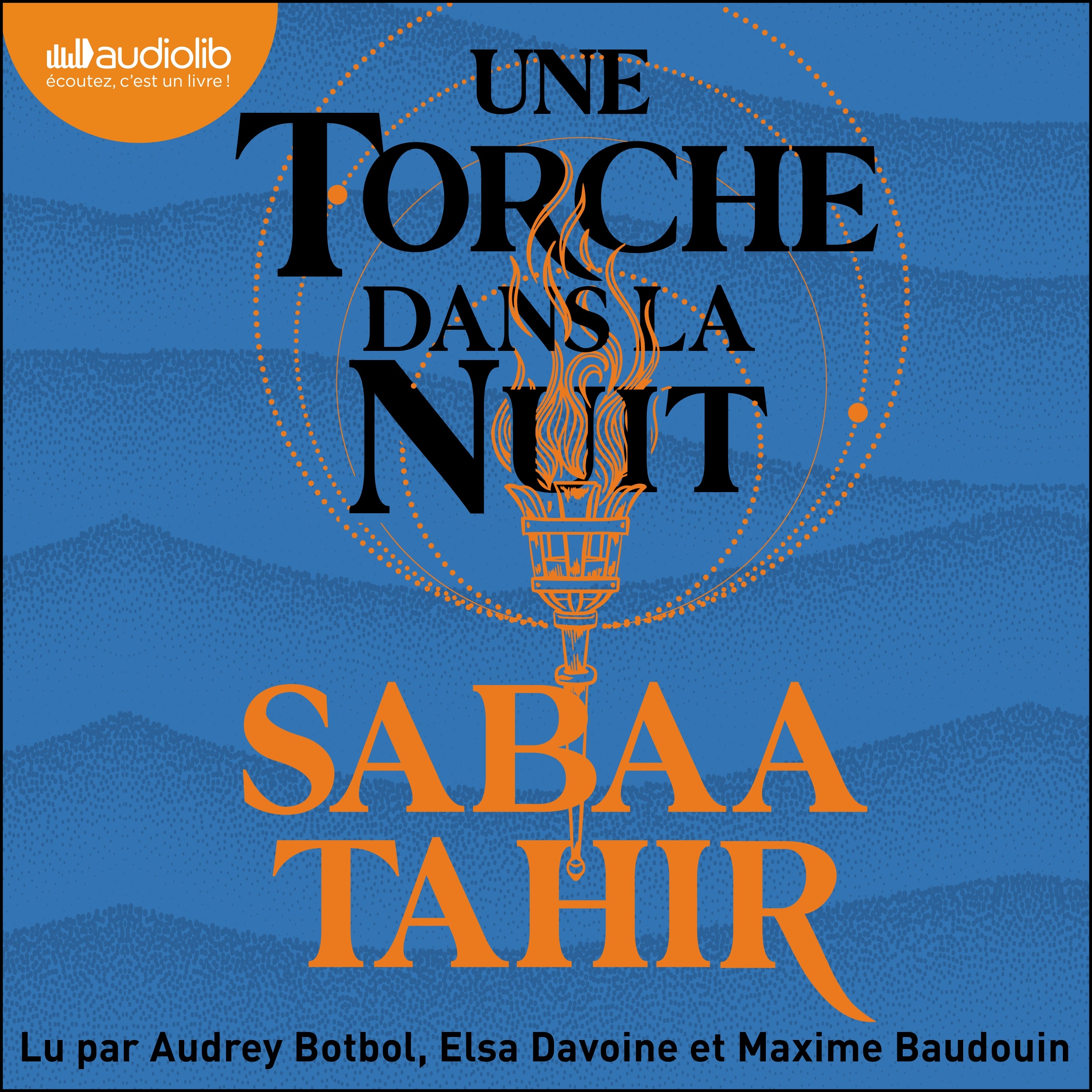 Une Torche dans la nuit