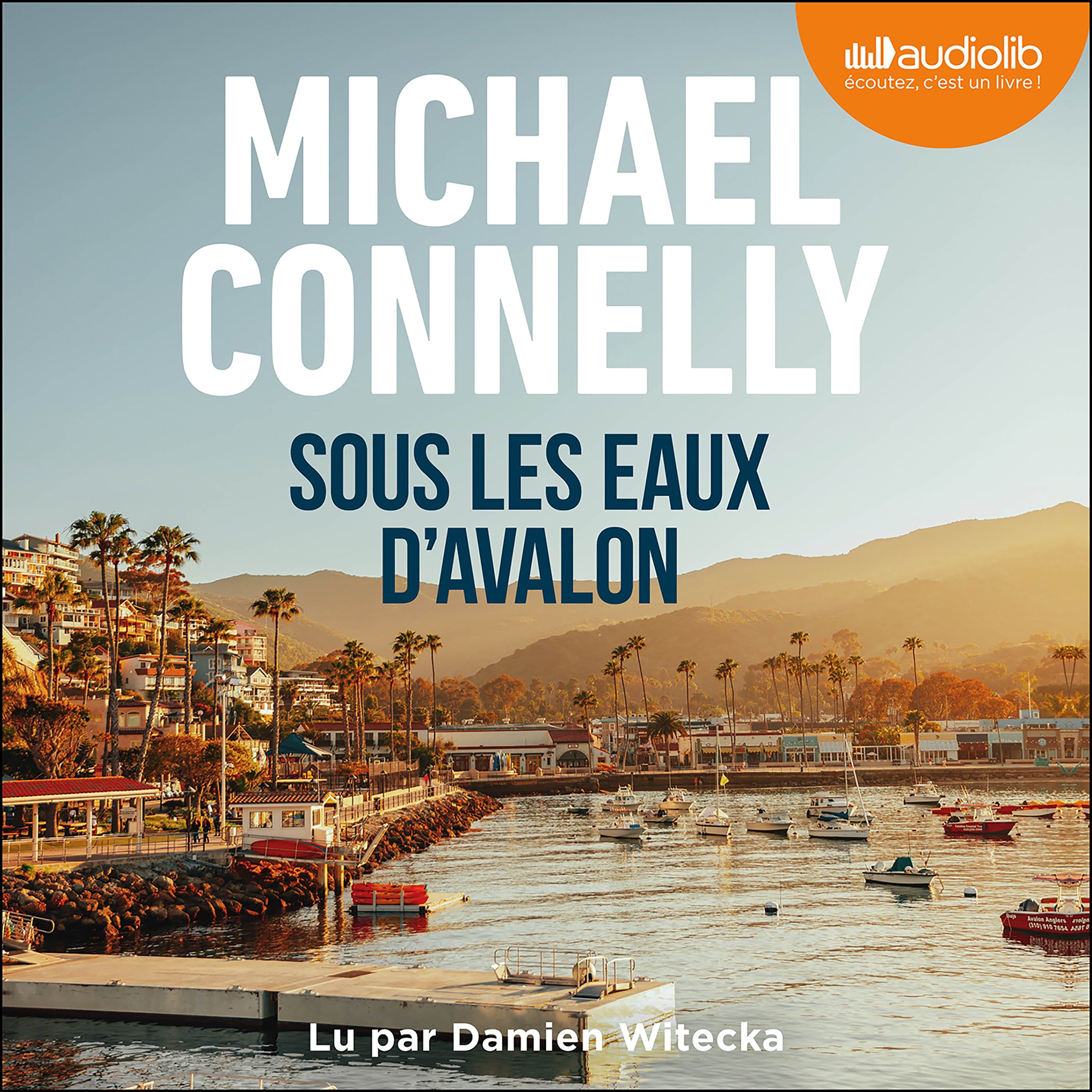 Sous les eaux d'Avalon