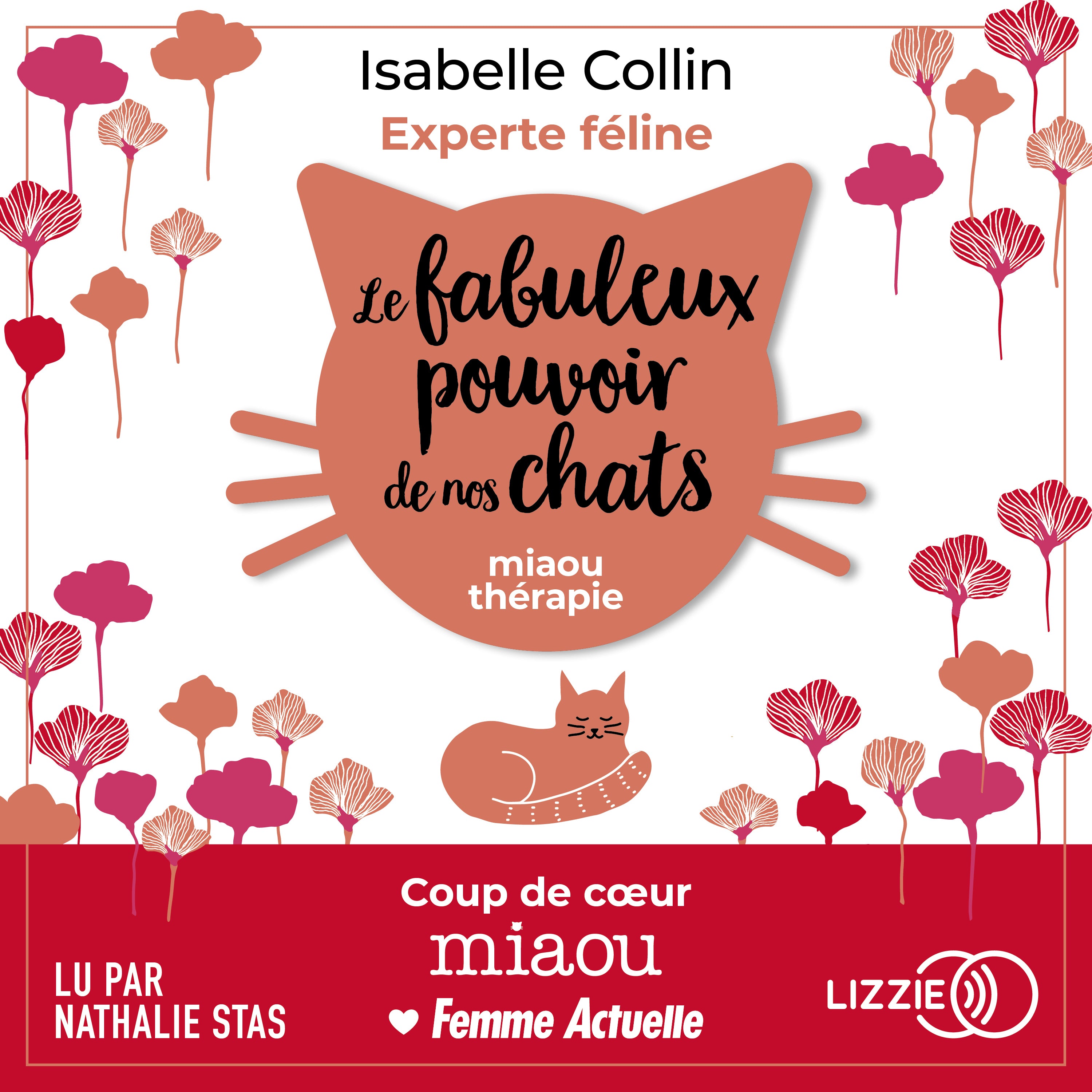 Le fabuleux pouvoir de nos chats
