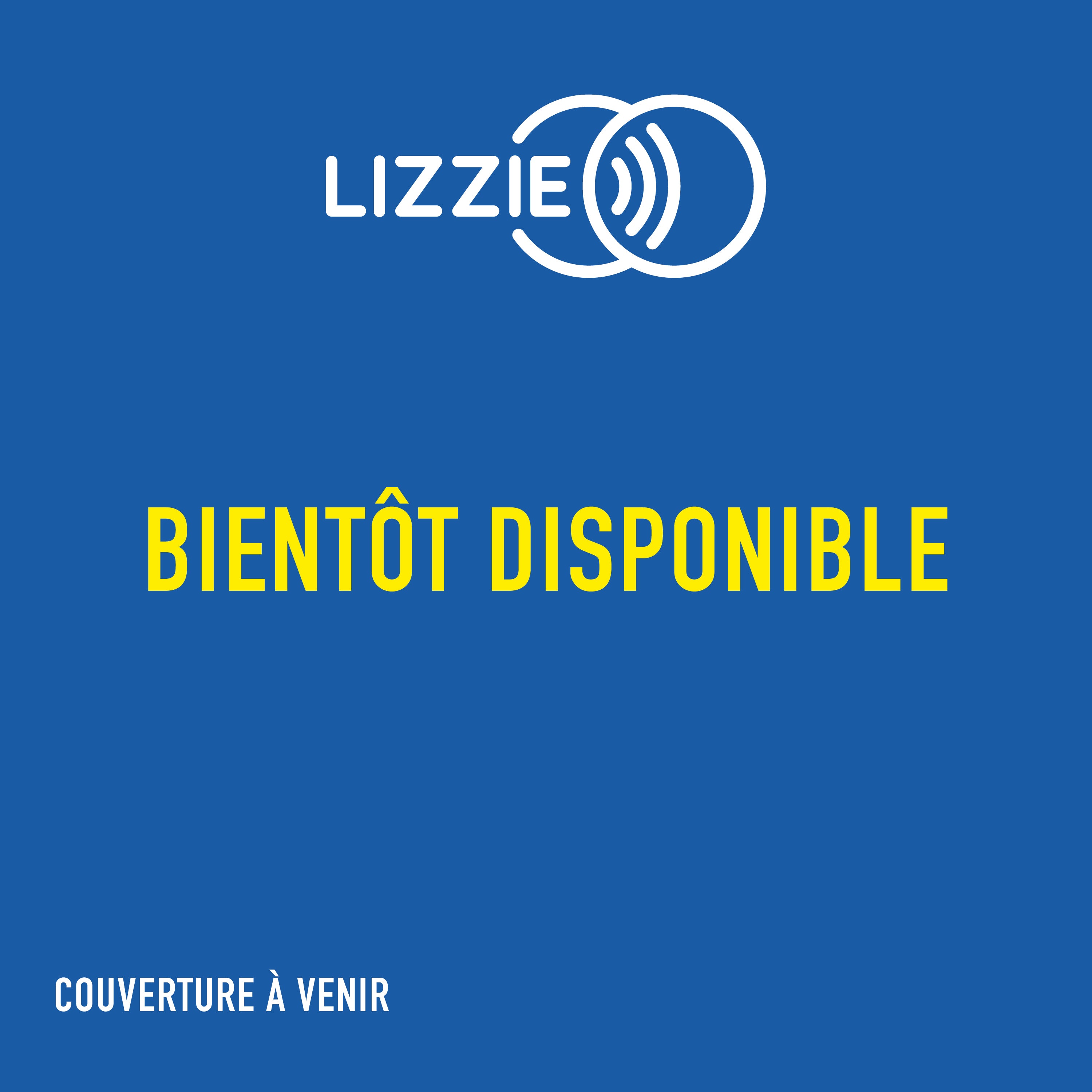 Le Troisième secret