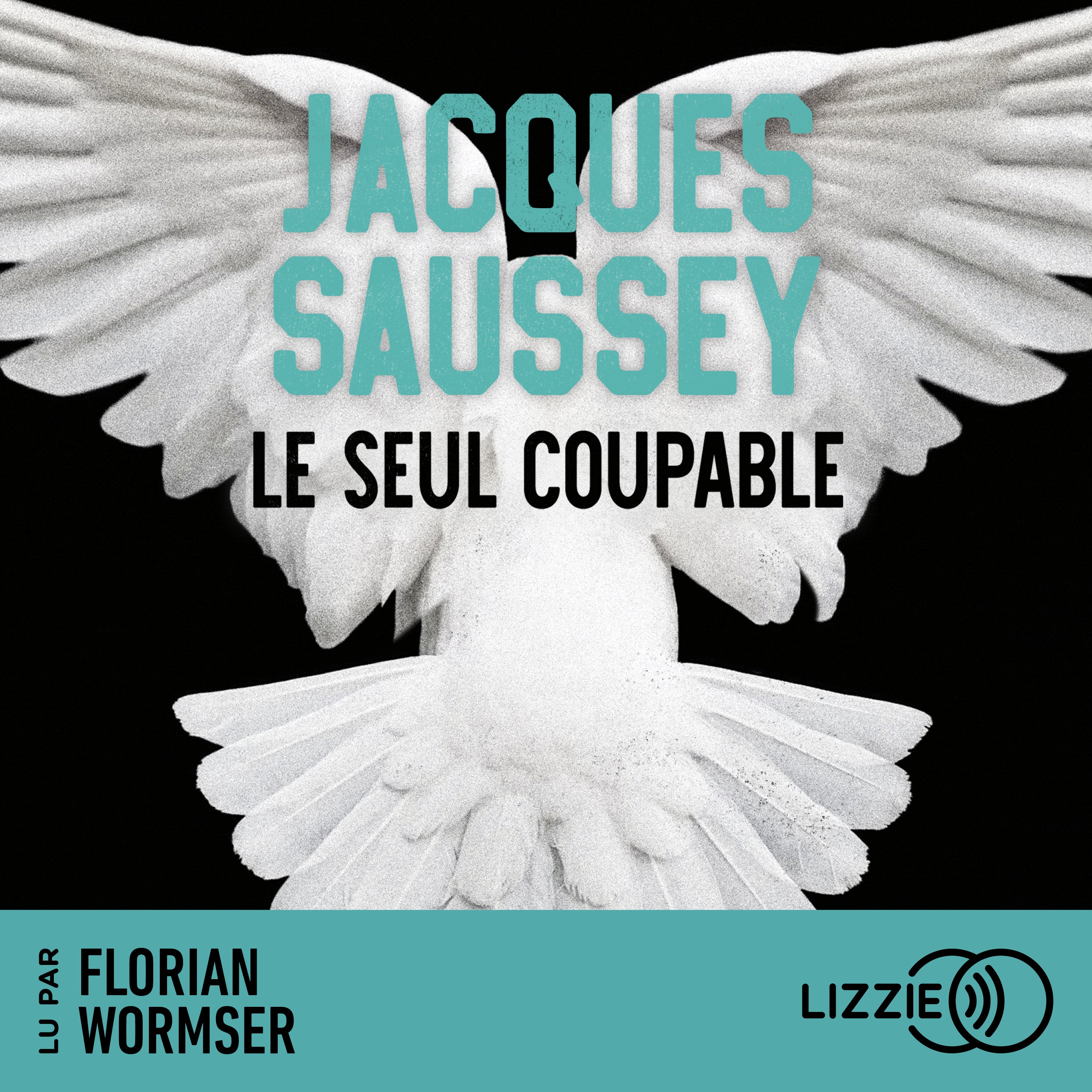 Le seul coupable