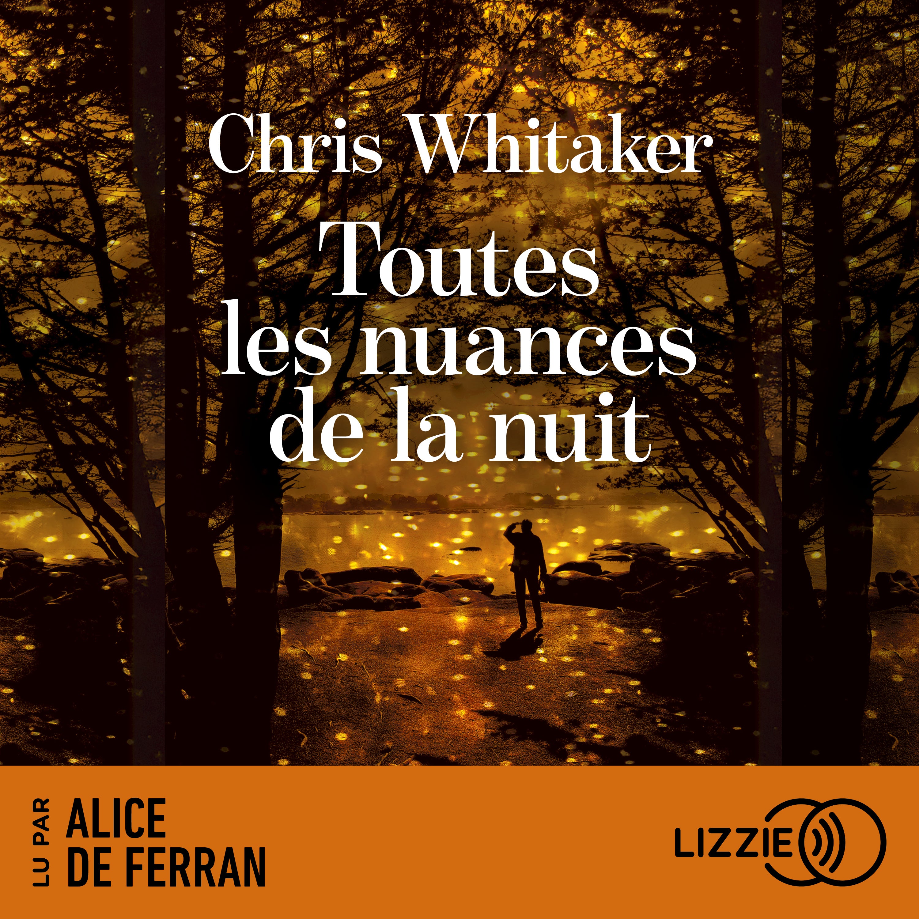 Toutes les nuances de la nuit